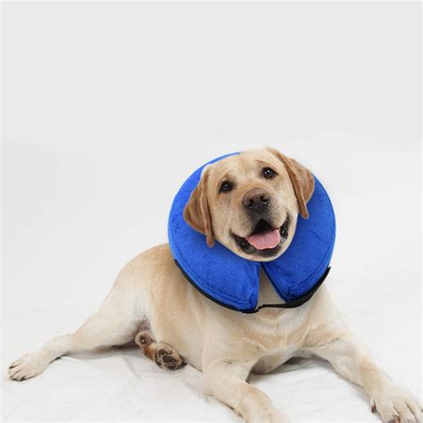 soft collar dogs after surgery|More.